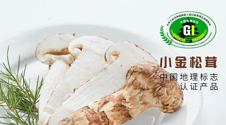homyi,HOMYi