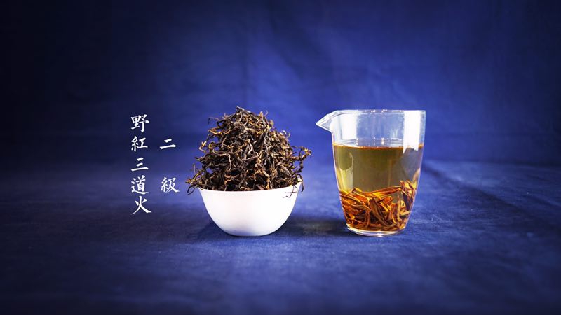火益,homyi,HOMYi