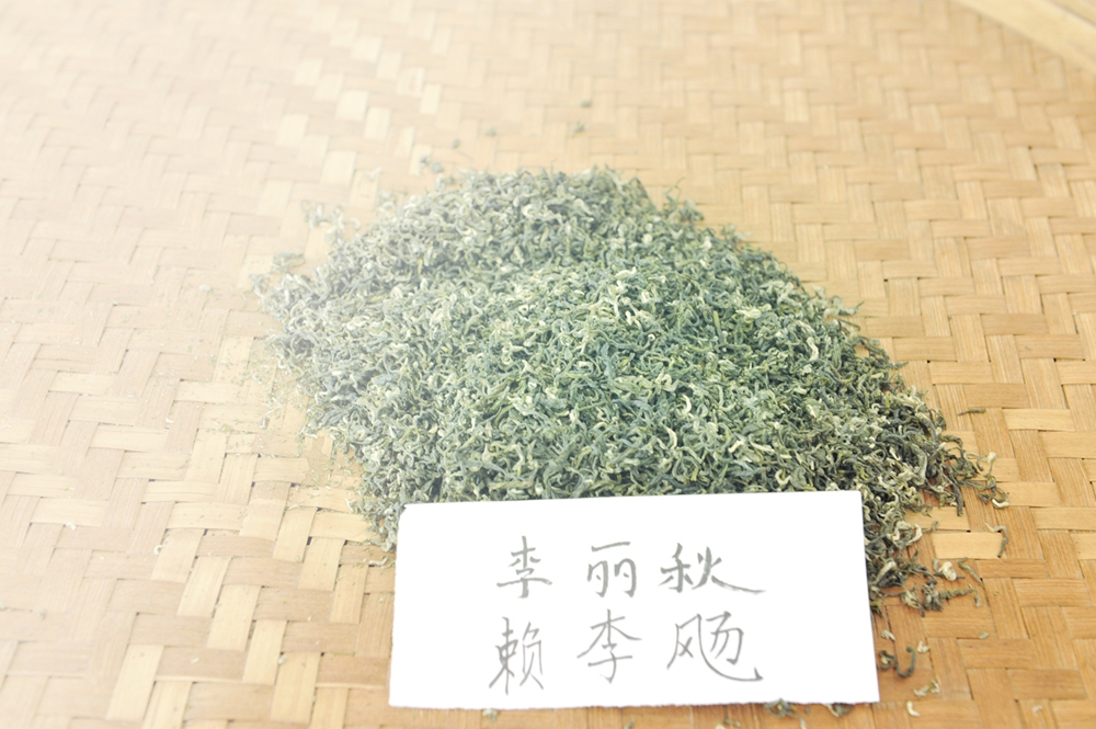 homyi,HOMYi
