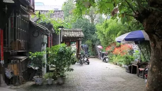 homyi,HOMYi homyi,HOMYi