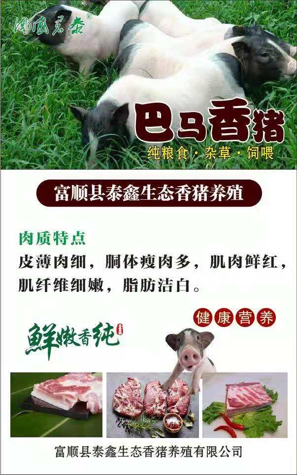 homyi,HOMYi homyi,HOMYi