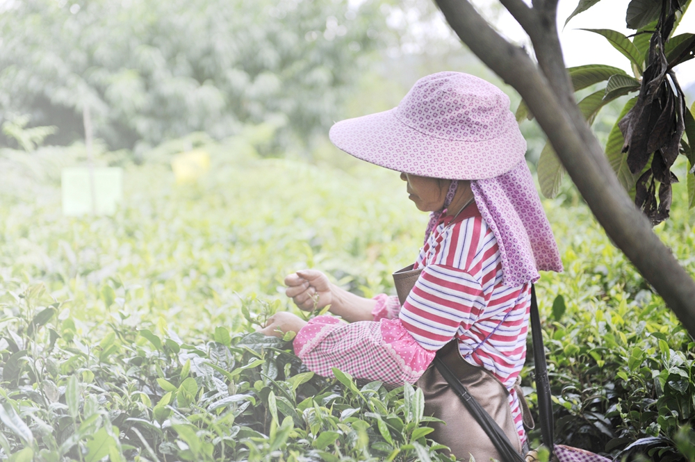 homyi,HOMYi