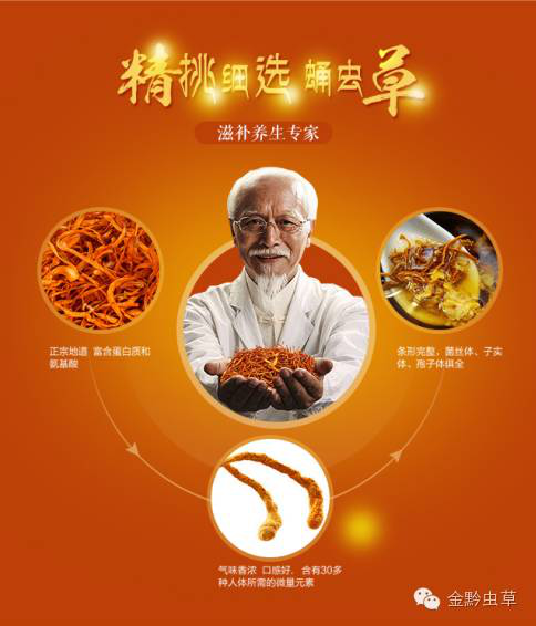 homyi,HOMYi homyi,HOMYi