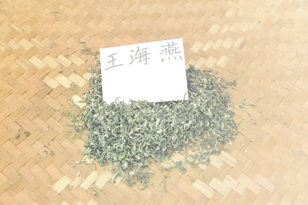 homyi,HOMYi