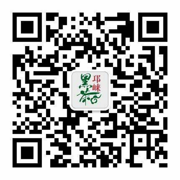 homyi,HOMYi homyi,HOMYi