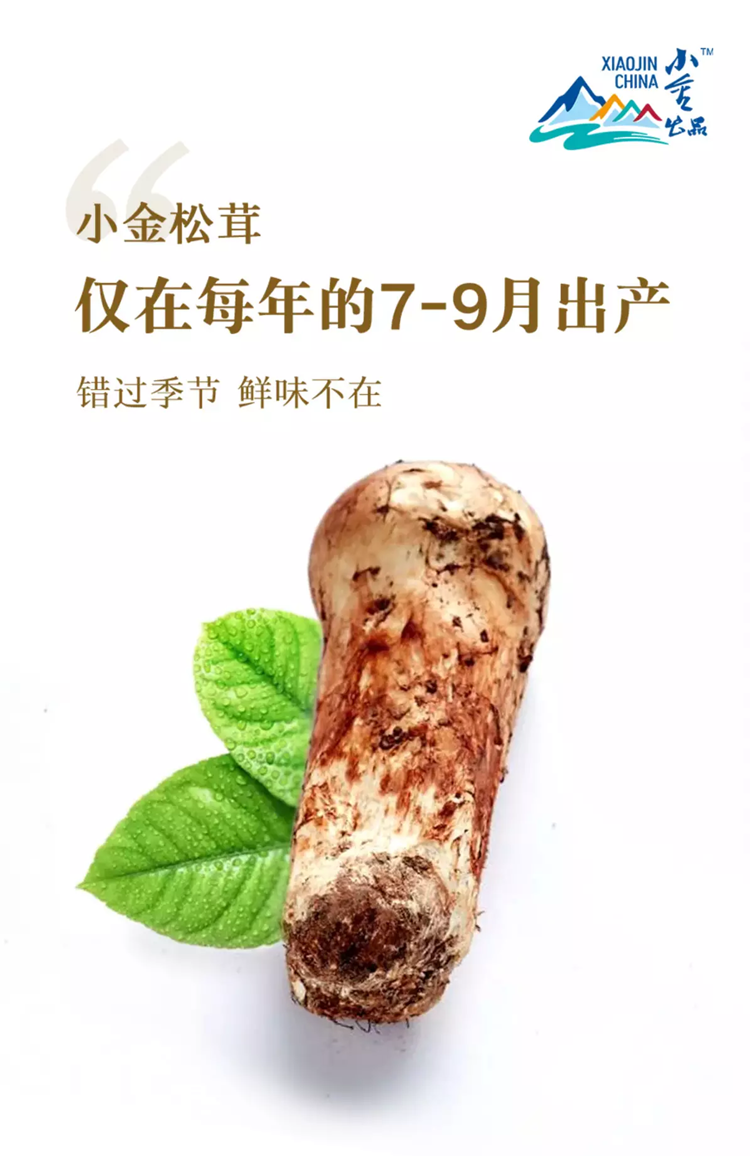 homyi,HOMYi