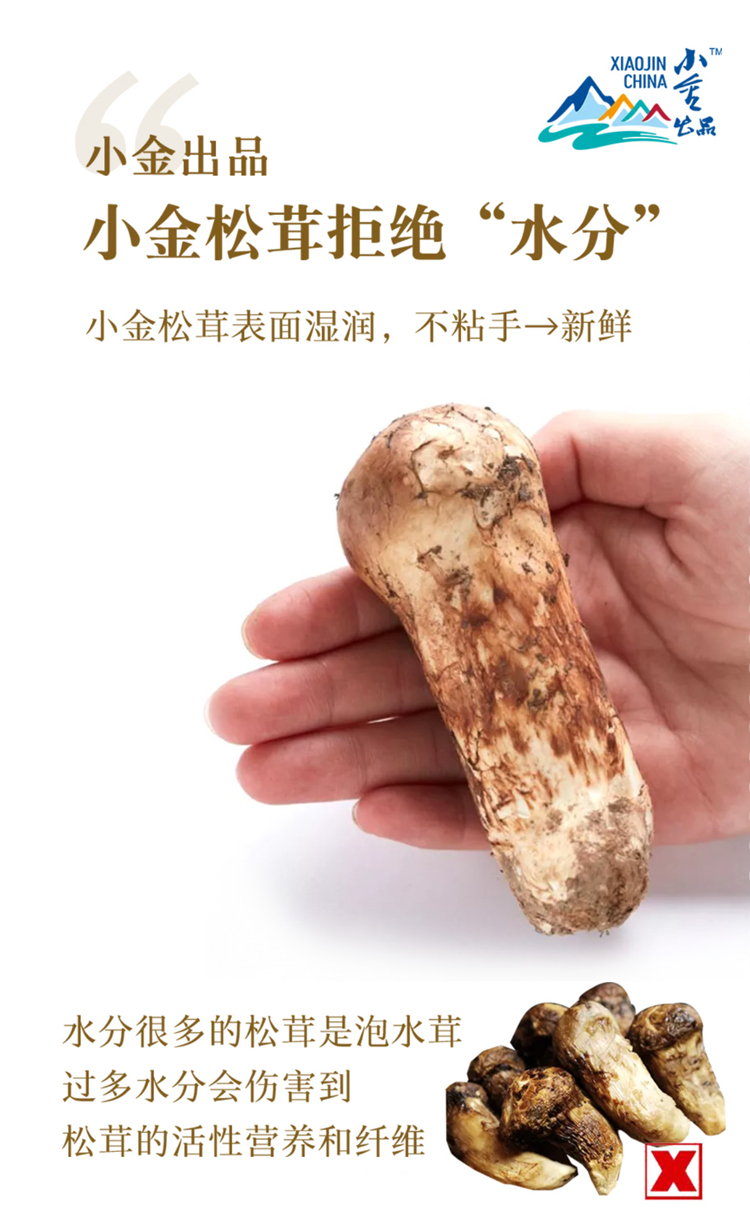 homyi,HOMYi