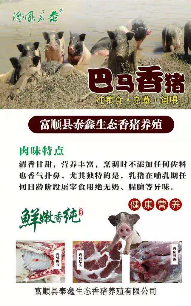 homyi,HOMYi homyi,HOMYi