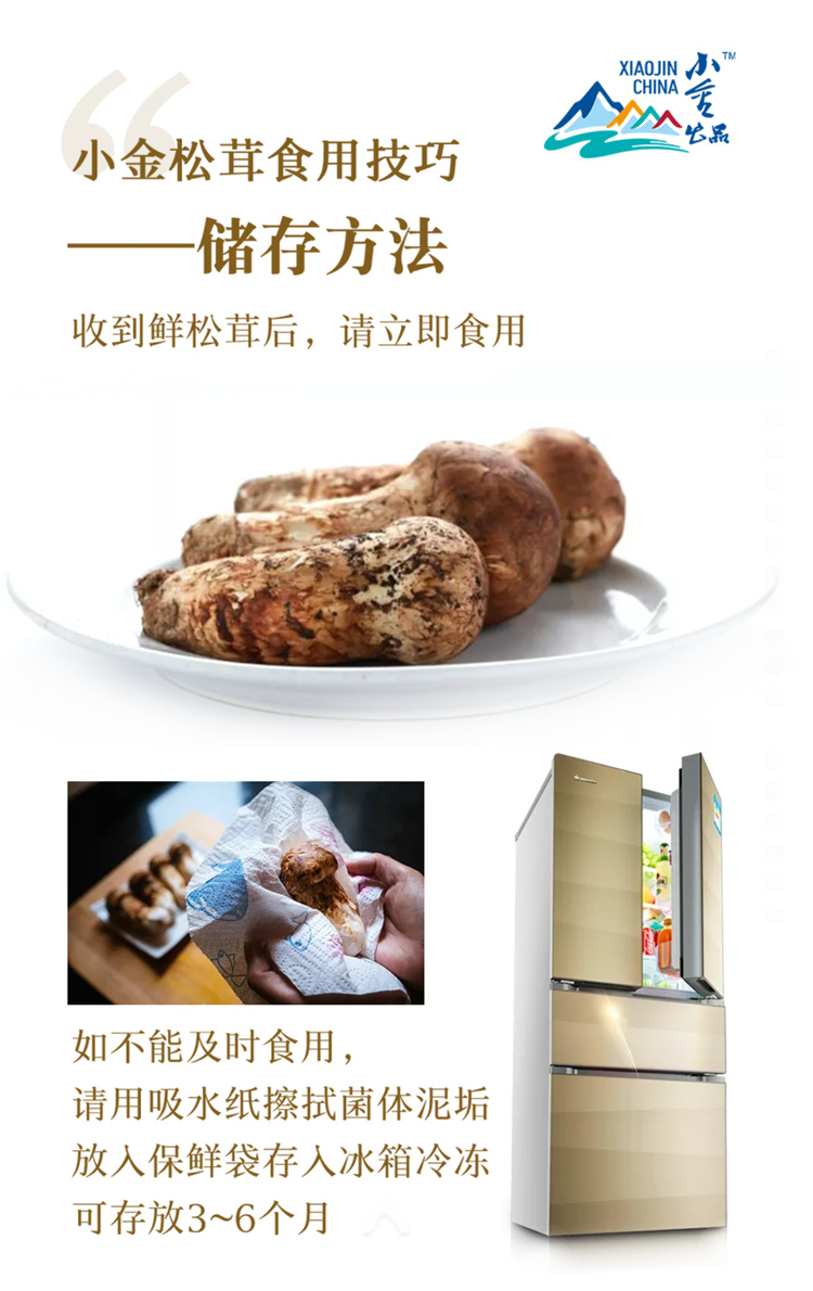 homyi,HOMYi