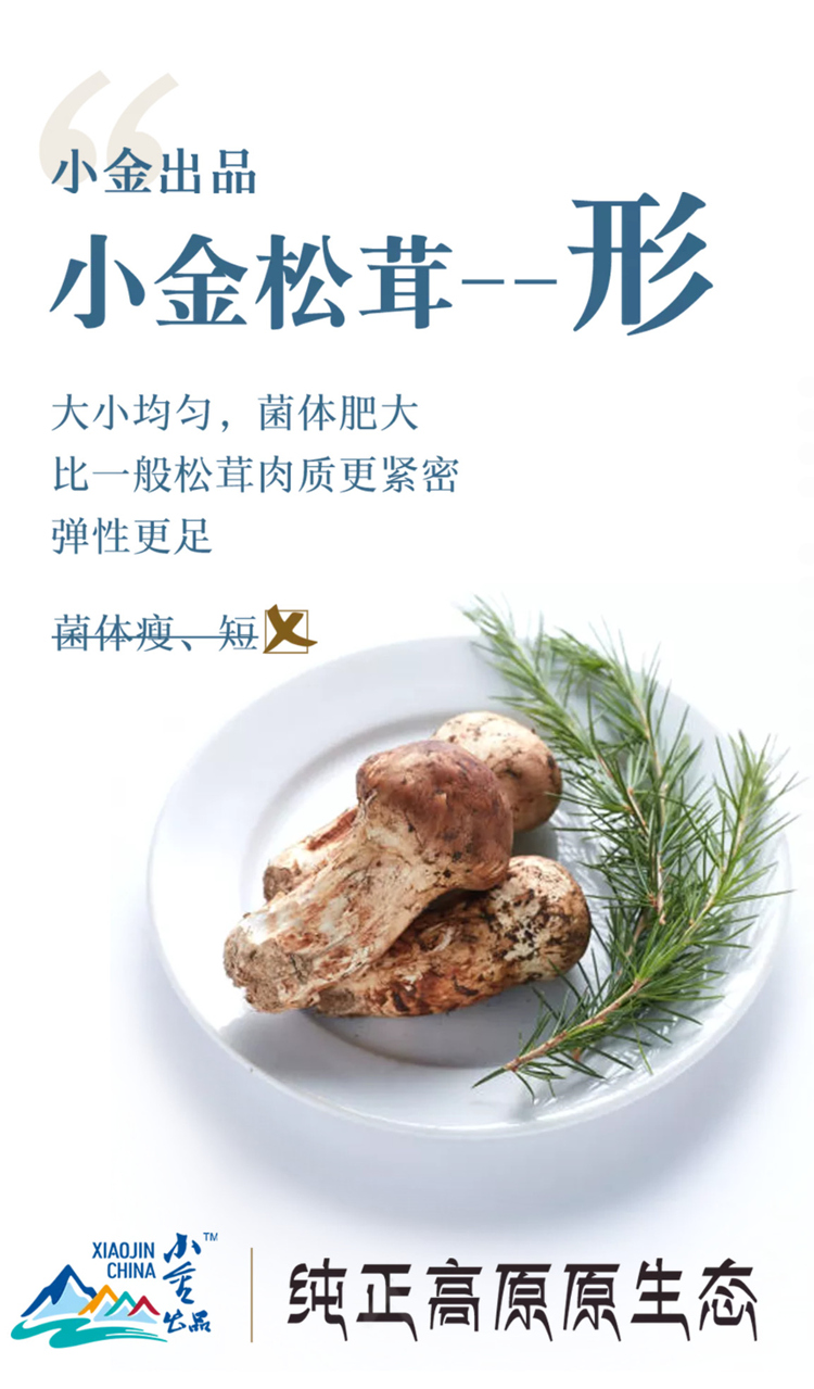 homyi,HOMYi