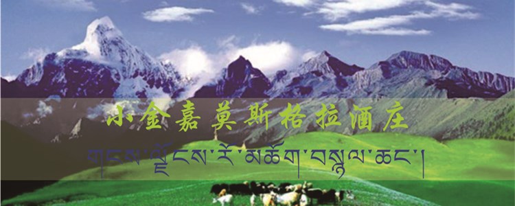 火益,homyi,HOMYi