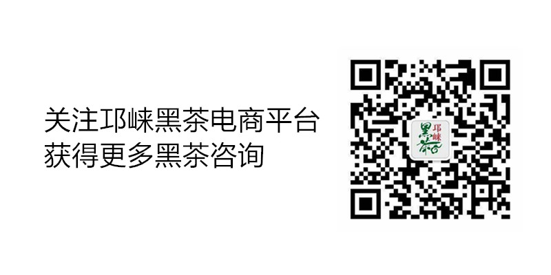 homyi,HOMYi homyi,HOMYi