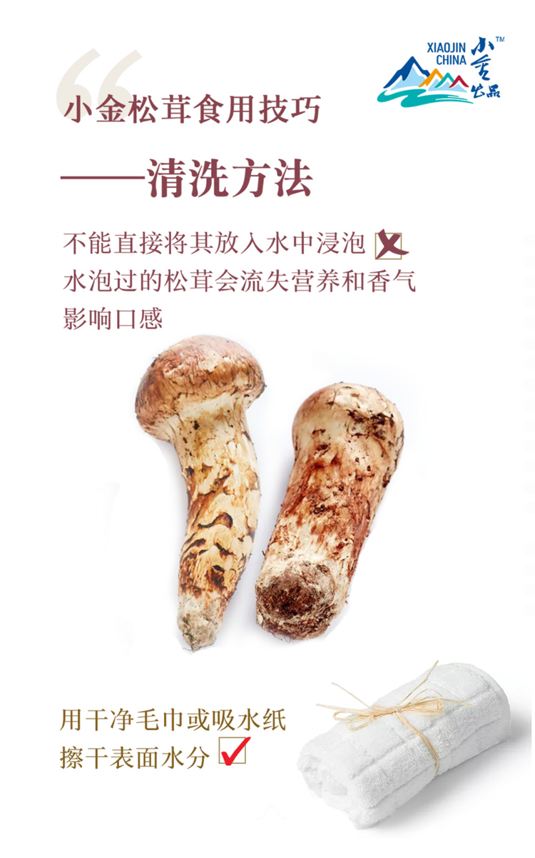 homyi,HOMYi