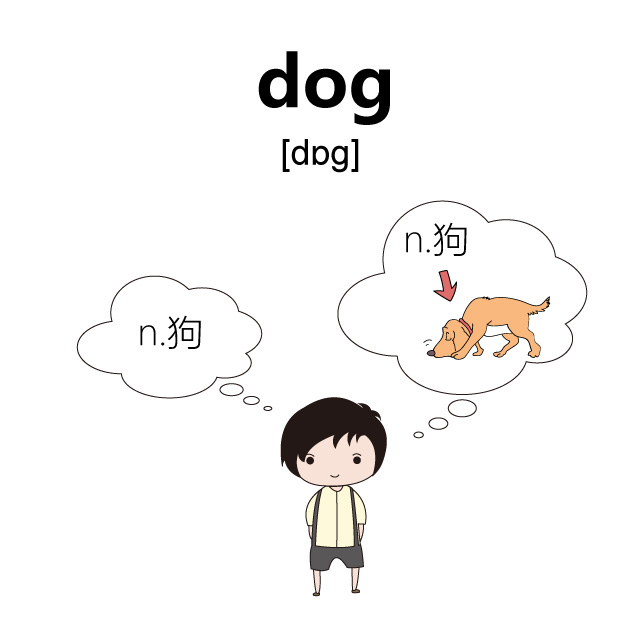 homyi,HOMYi homyi,HOMYi