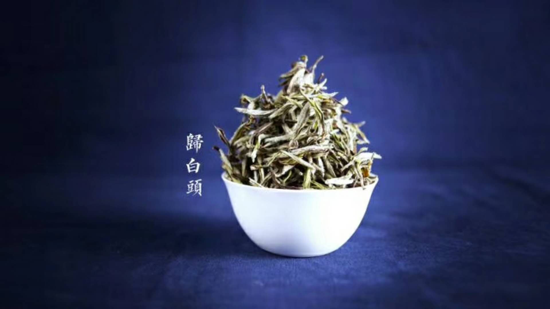 火益,homyi,HOMYi