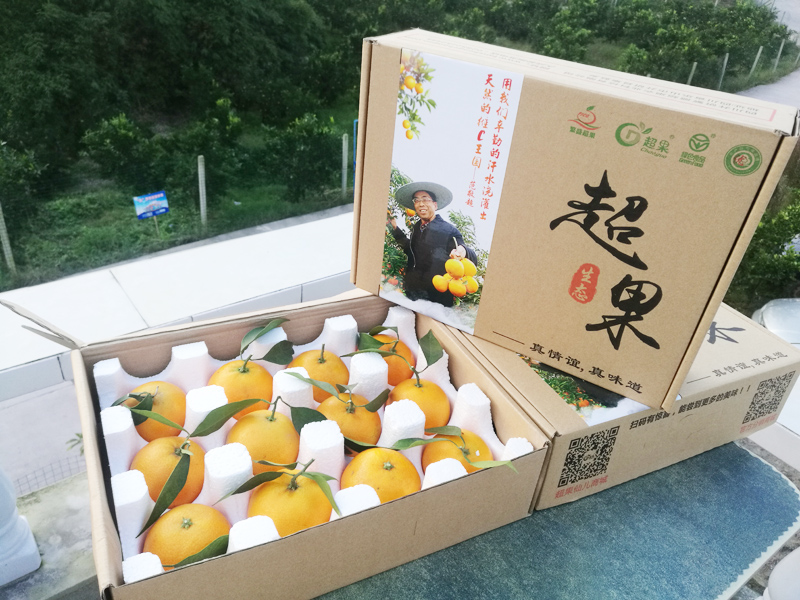homyi,HOMYi homyi,HOMYi