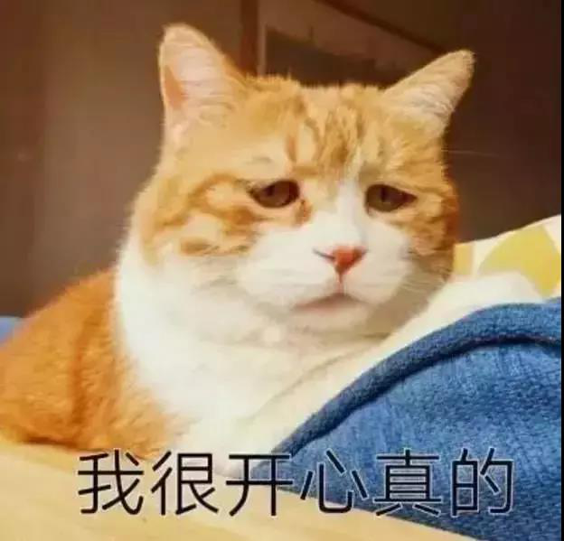 火益,homyi,HOMYi 火益,homyi,HOMYi