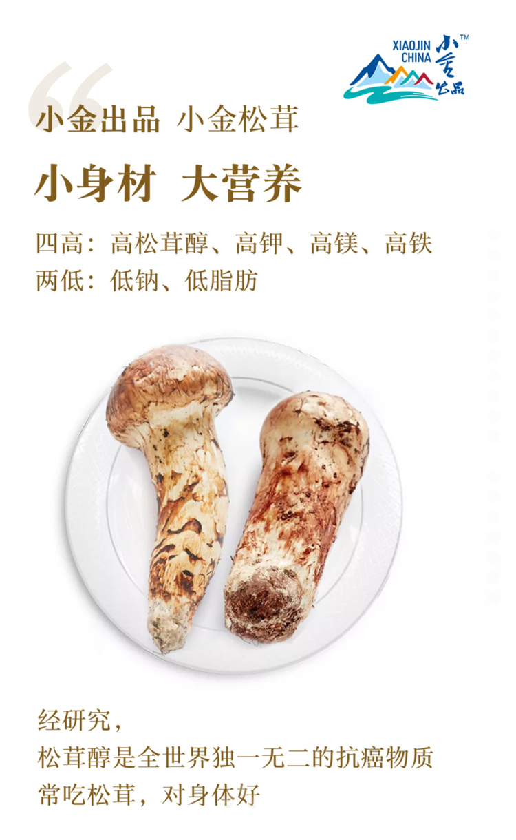 homyi,HOMYi