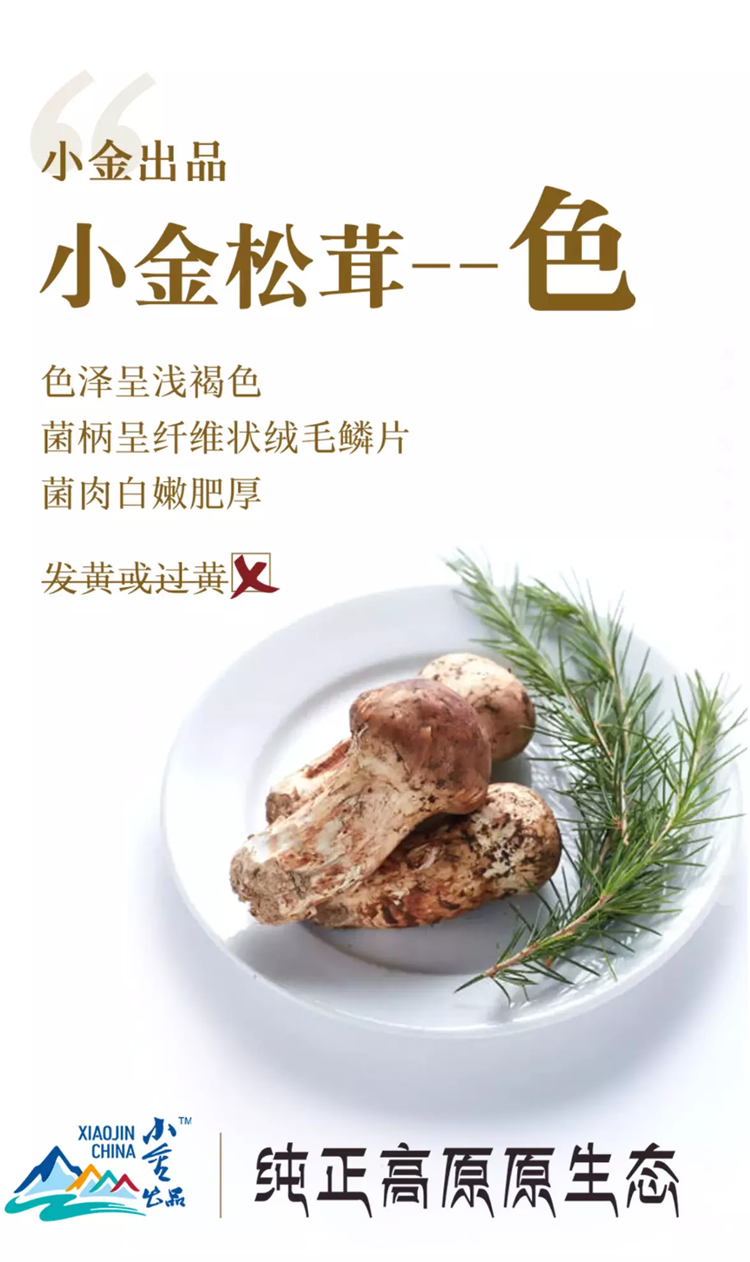 homyi,HOMYi