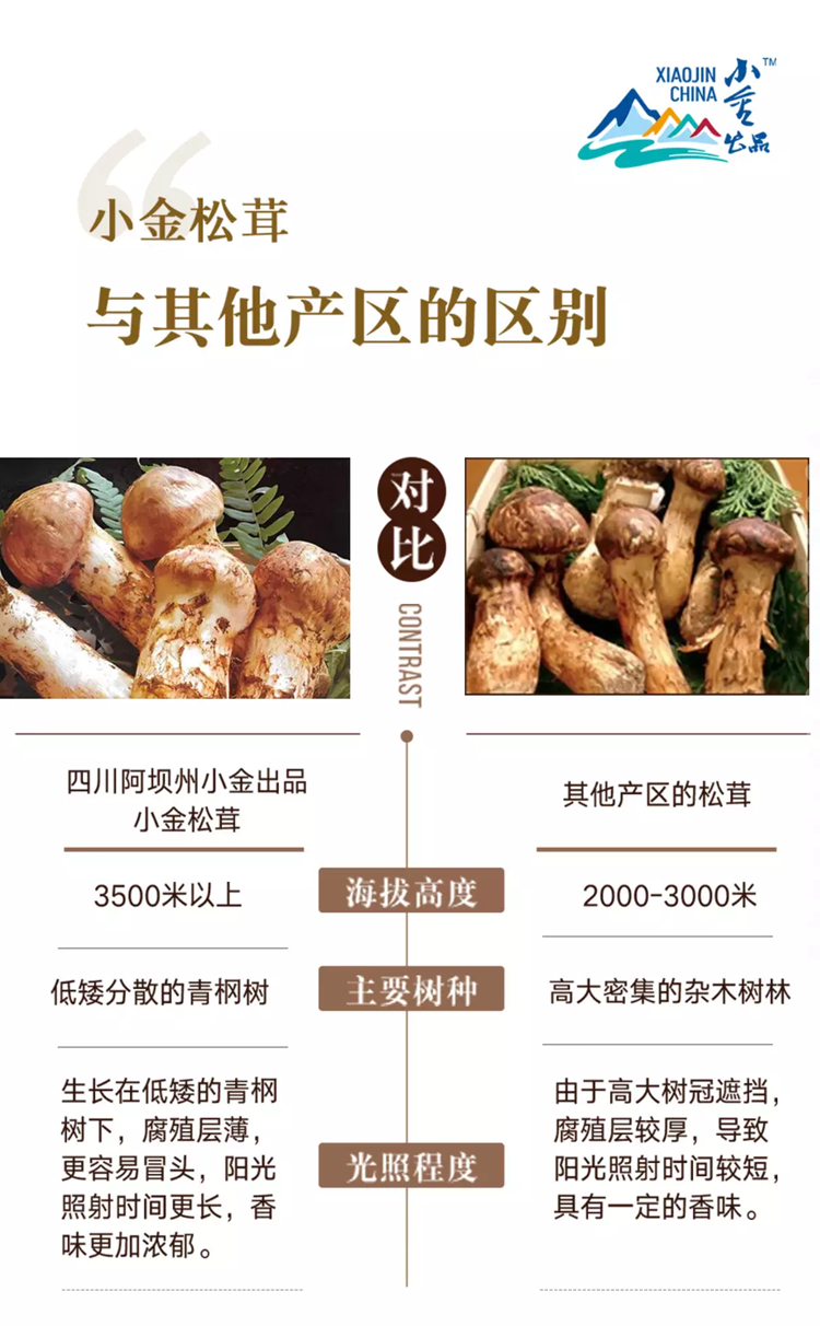 homyi,HOMYi