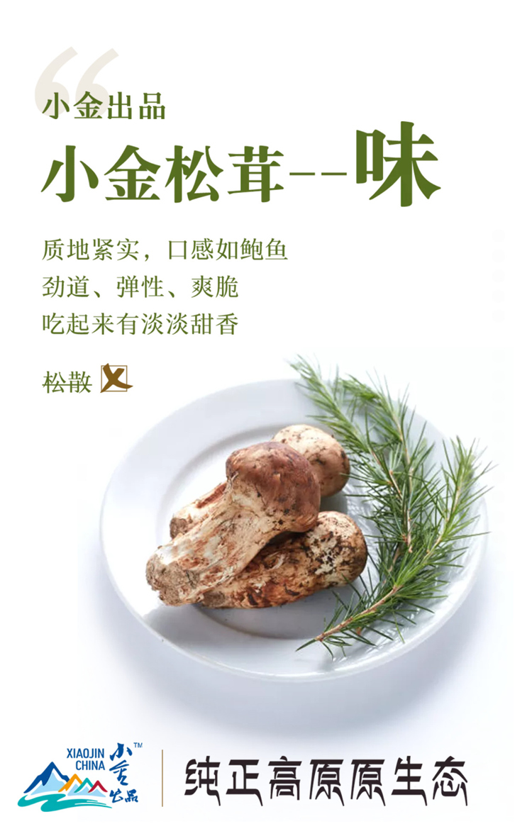 homyi,HOMYi