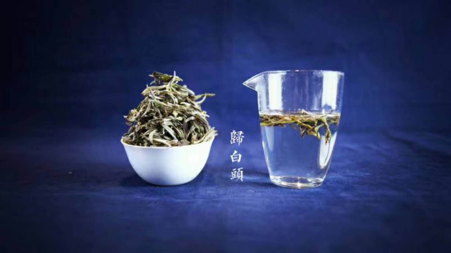 火益,homyi,HOMYi