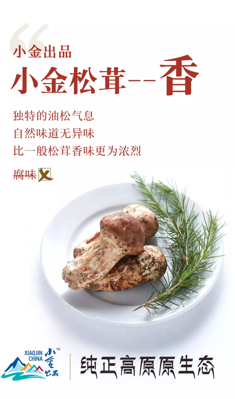 homyi,HOMYi