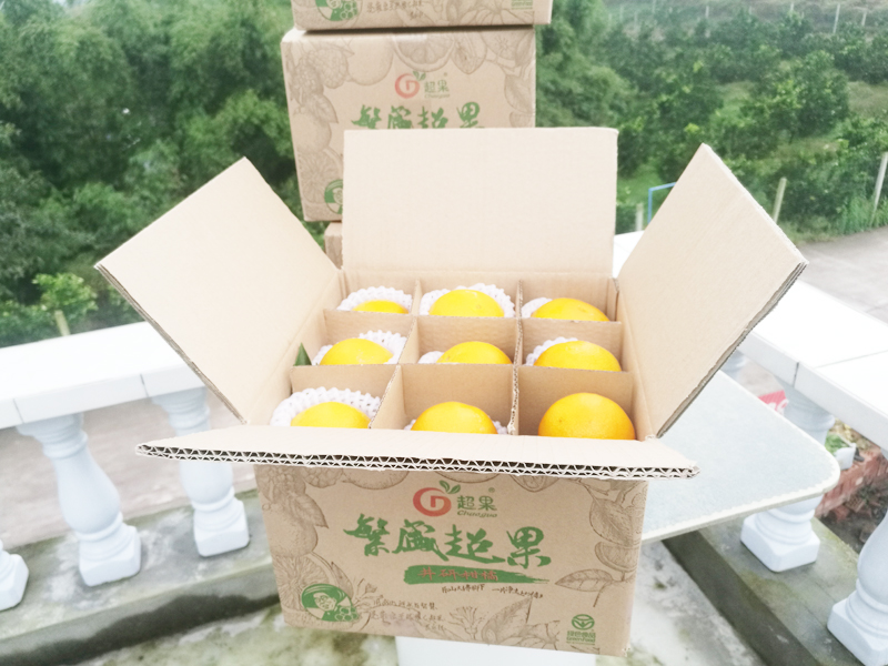 homyi,HOMYi homyi,HOMYi