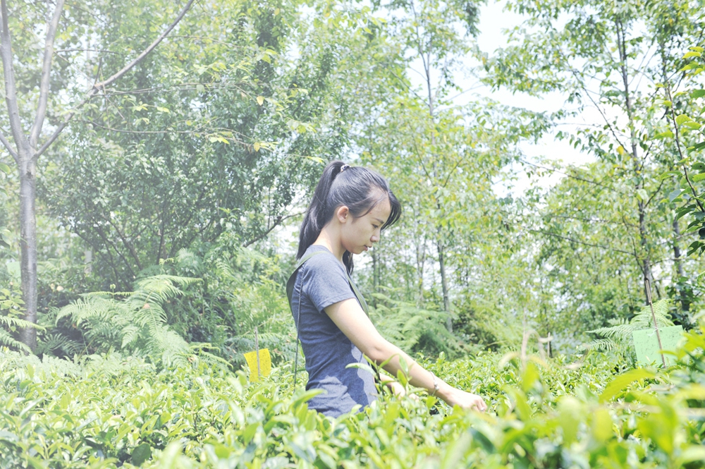 homyi,HOMYi