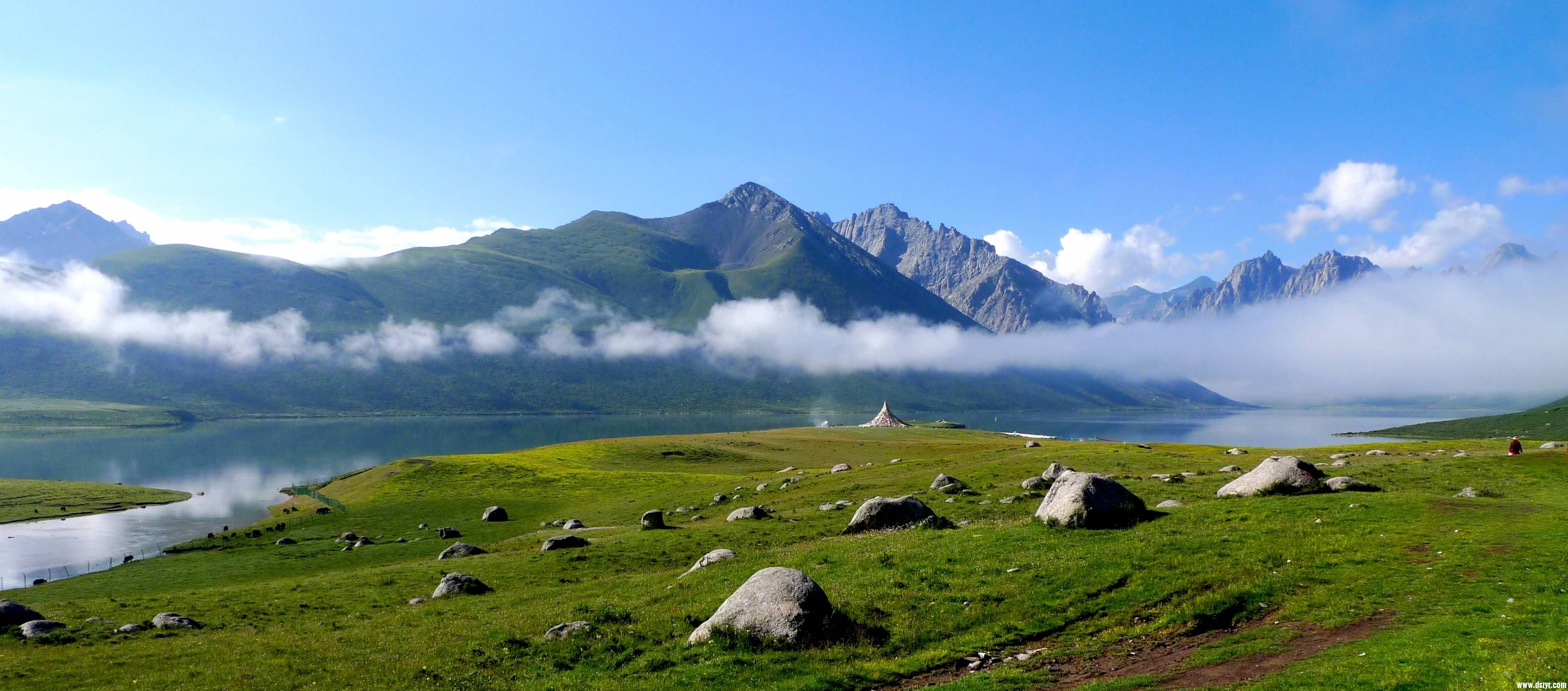 四川高原之宝牦牛网络技术有限公司